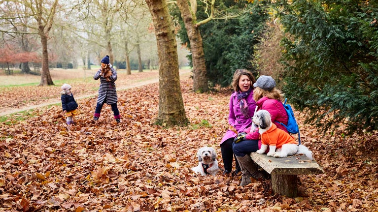 Visitors with their dogs sit in the garden in autumn